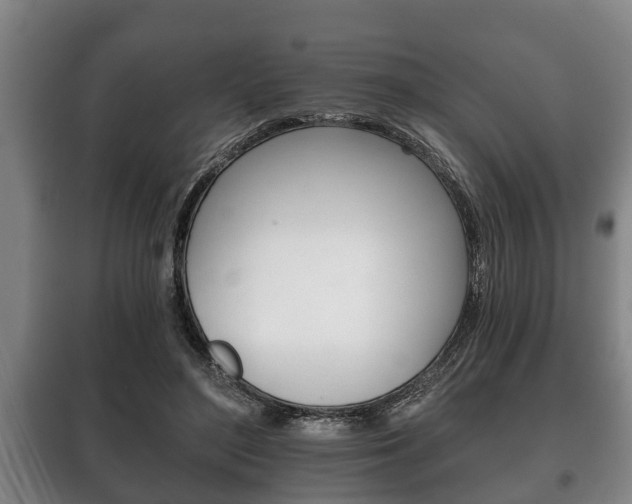 X0000100410500200806060928