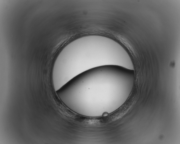 X0000100410501200806060928