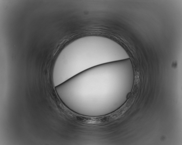 X0000100410504200806060928