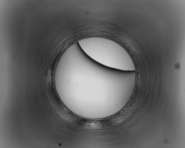 X0000100410506200806060928