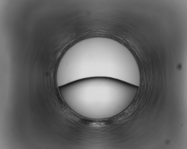 X0000100410508200806060928