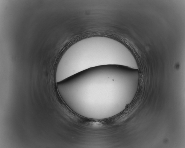 X0000100410509200806060928