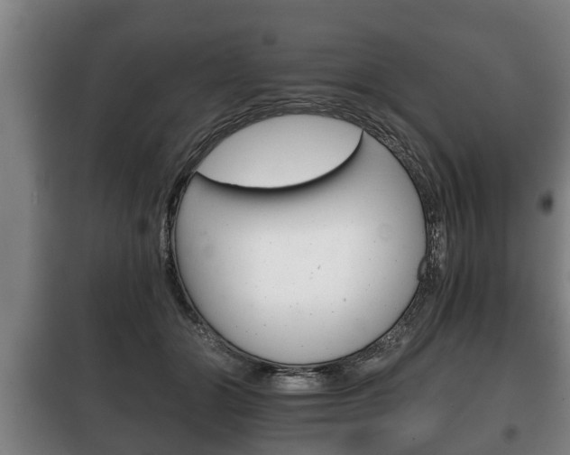X0000100410510200806060928
