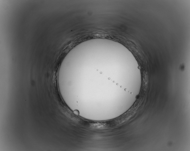 X0000100410511200806060928