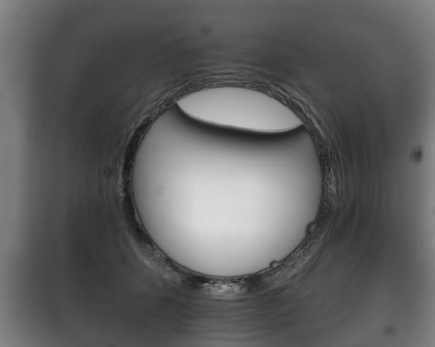 X0000100410512200806060928