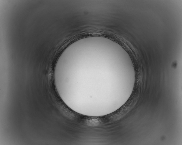X0000100410513200806060928