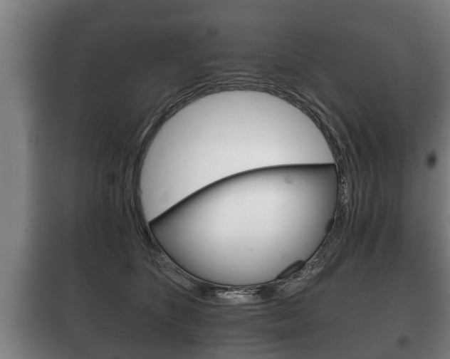 X0000100410516200806060928