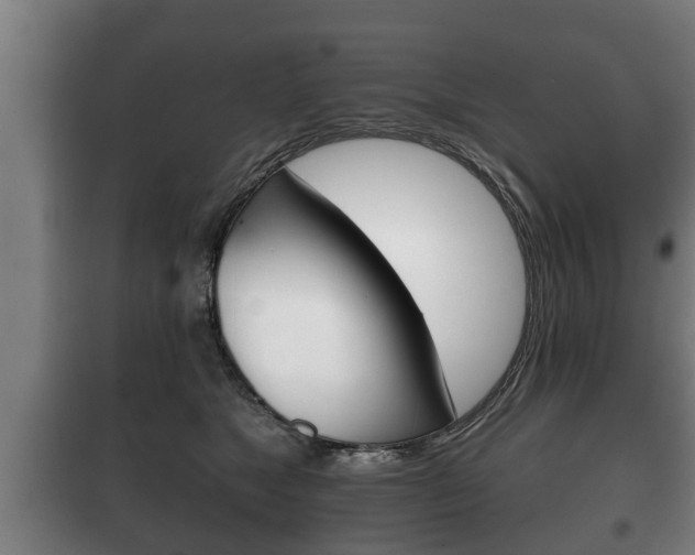 X0000100410517200806060928