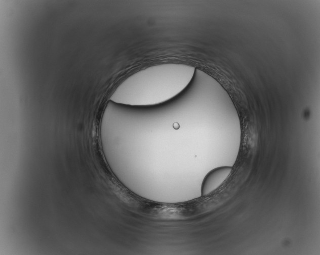 X0000100410518200806060928