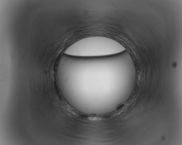 X0000100410520200806060928
