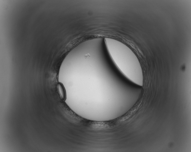 X0000100410521200806060928