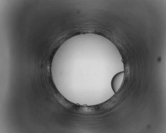 X0000100410522200806060928