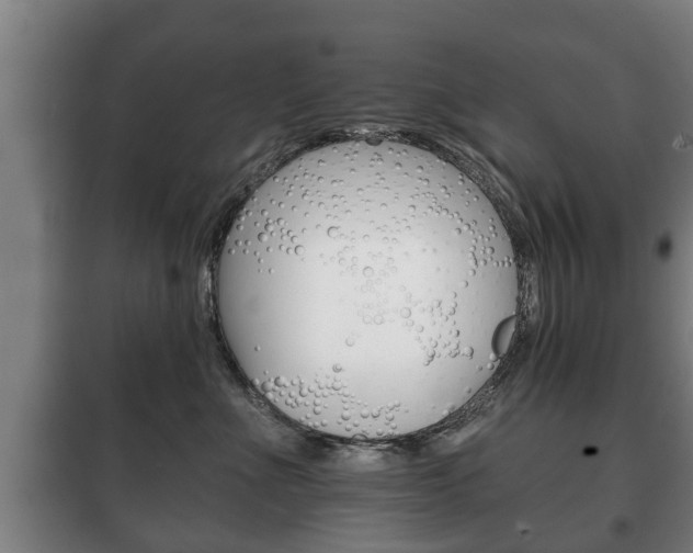 X0000100410523200806060928