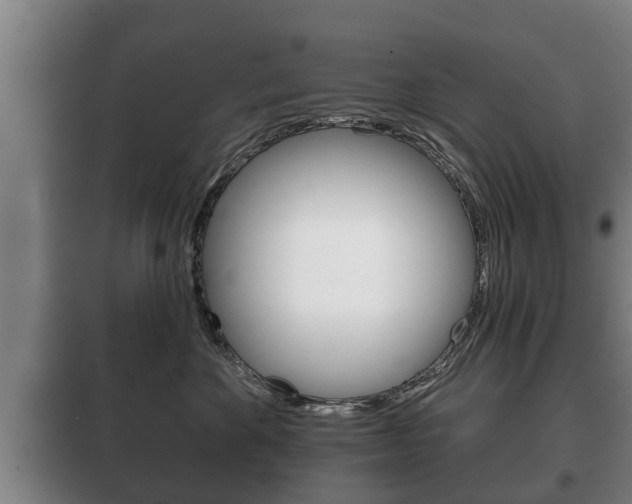 X0000100410524200806060928