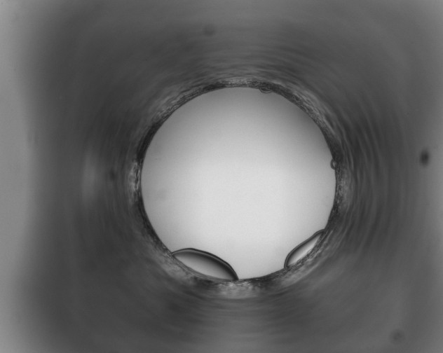 X0000100410525200806060928