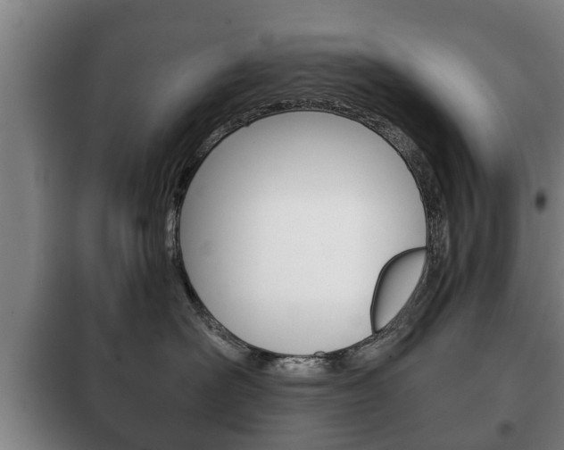 X0000100410526200806060928