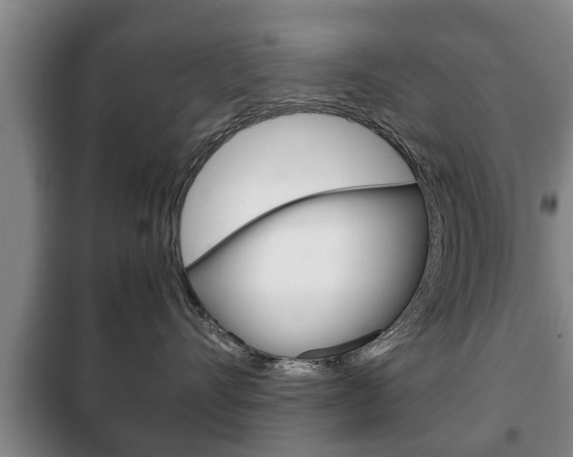 X0000100410528200806060928
