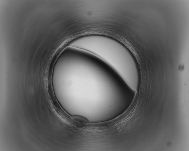 X0000100410530200806060927