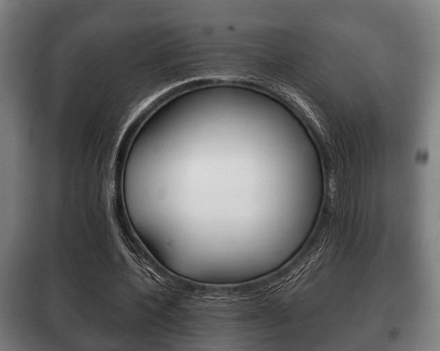 X0000100410532200806060927