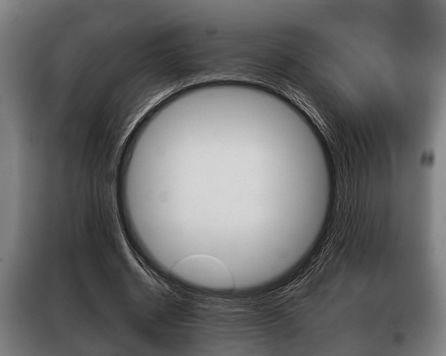 X0000100410534200806060927
