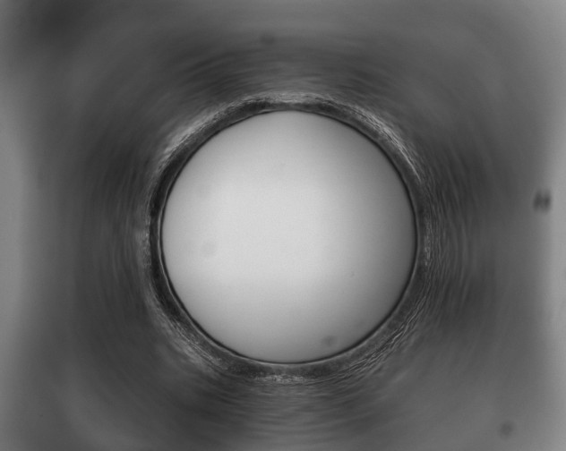 X0000100410535200806060927