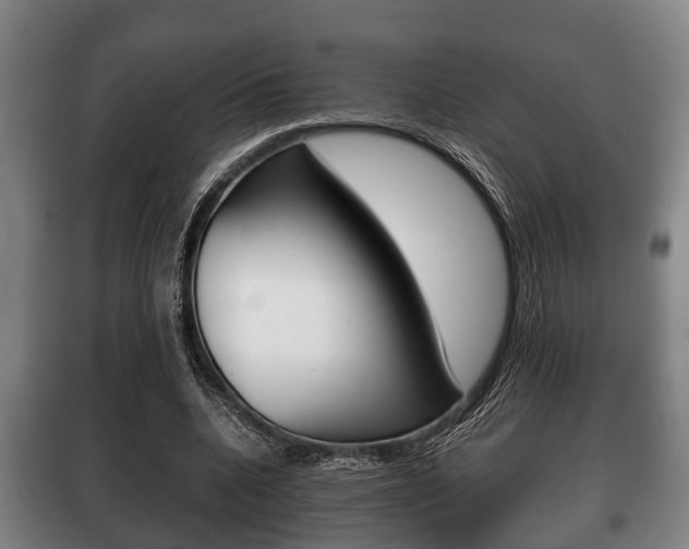 X0000100410536200806060927