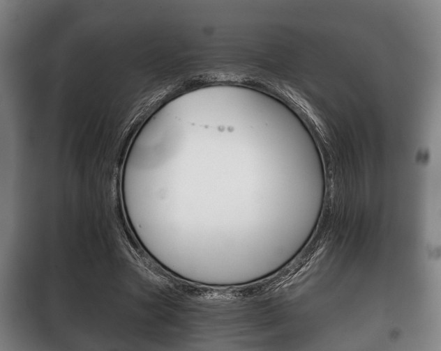 X0000100410537200806060927