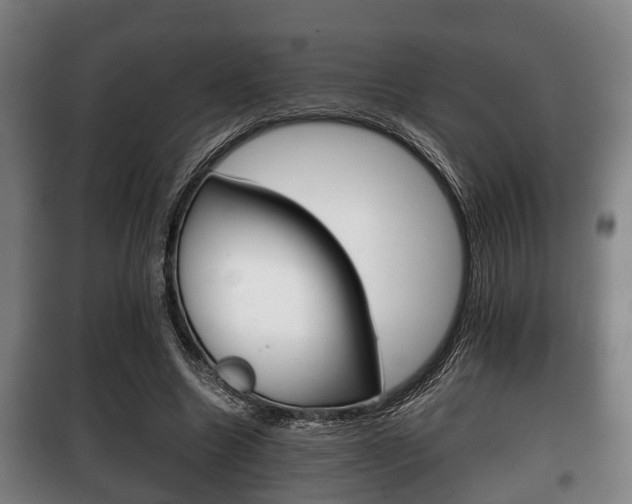 X0000100410538200806060927