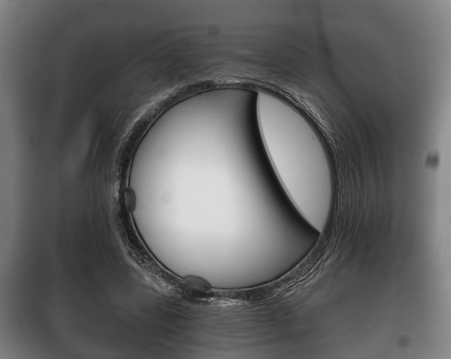 X0000100410539200806060927