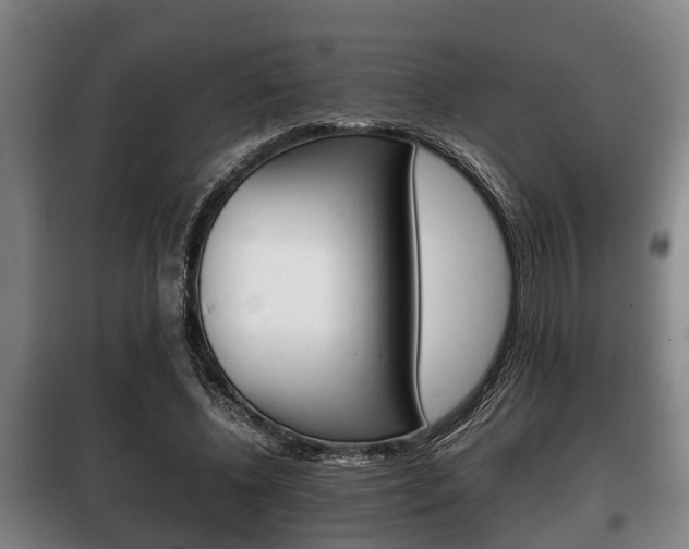 X0000100410540200806060927
