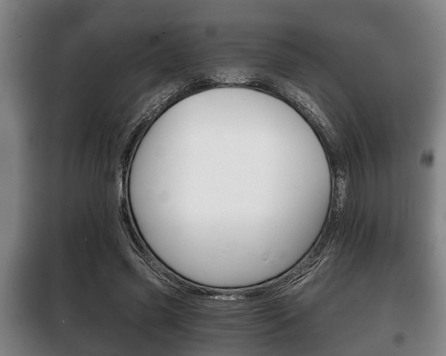 X0000100410541200806060927