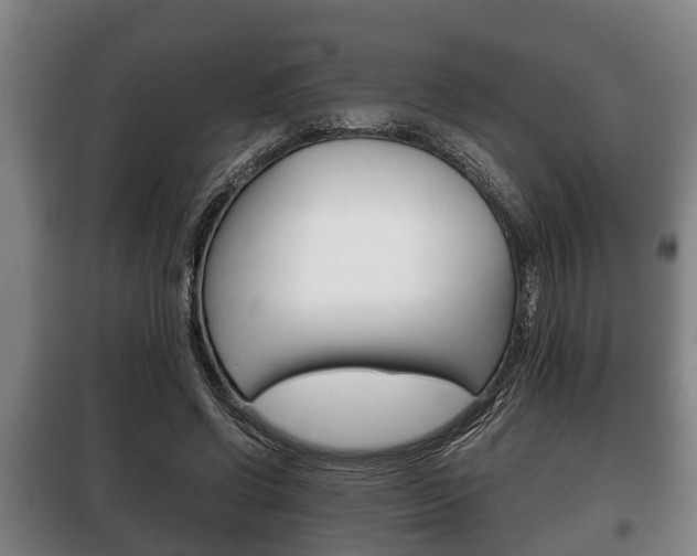 X0000100410542200806060927