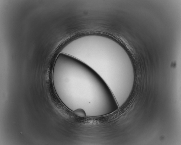 X0000100410543200806060927