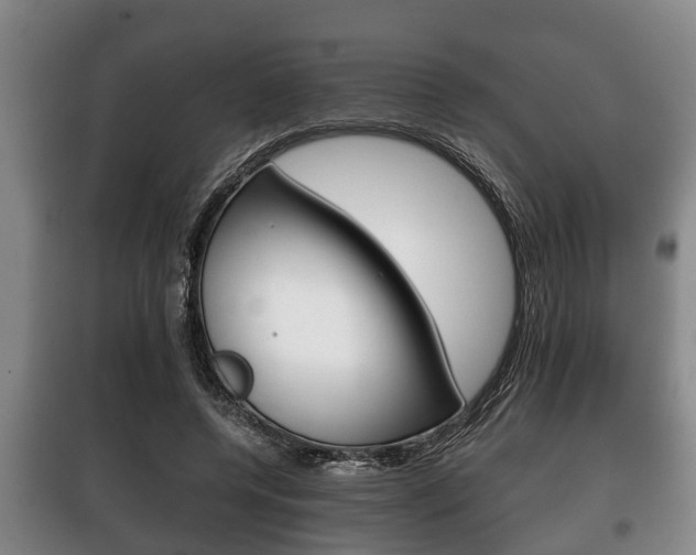 X0000100410544200806060927