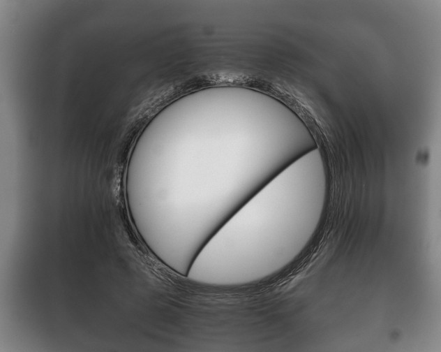 X0000100410545200806060927