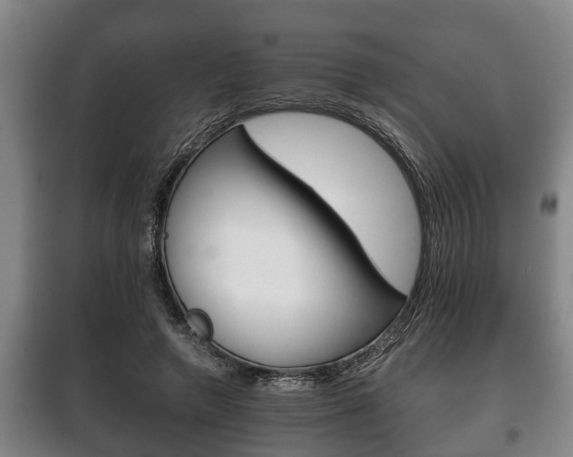 X0000100410546200806060927
