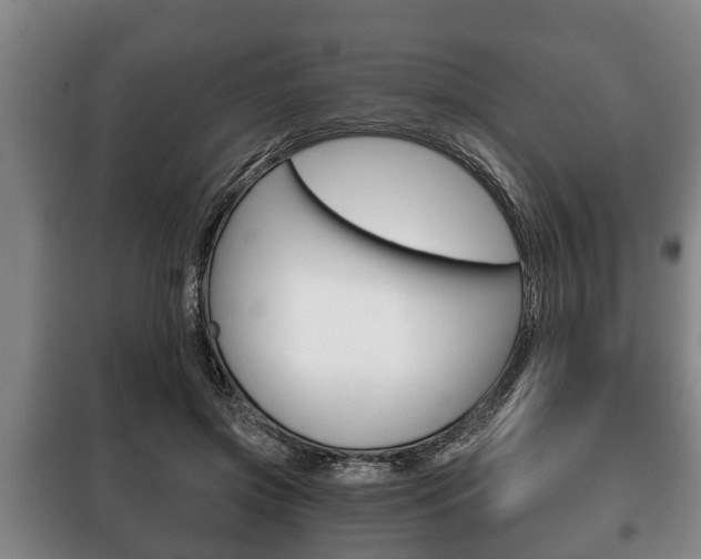 X0000100410549200806060927