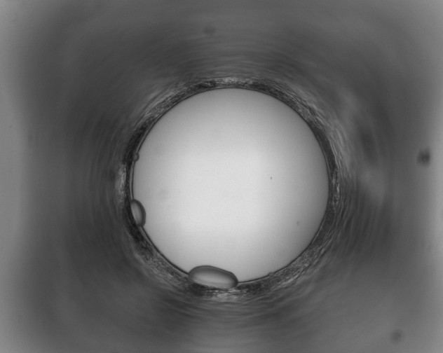 X0000100410550200806060927