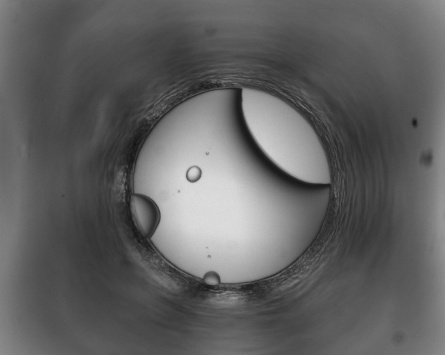 X0000100410551200806060927
