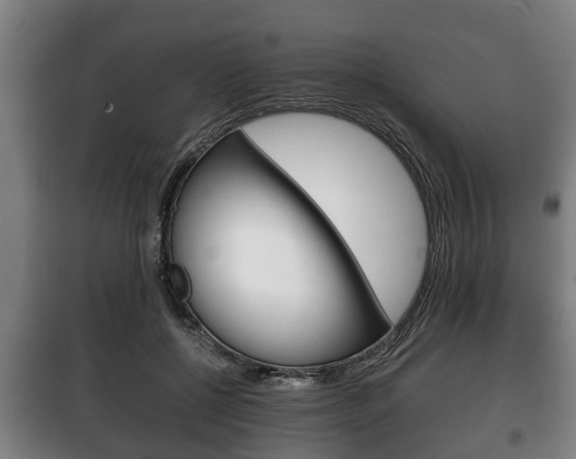 X0000100410552200806060927