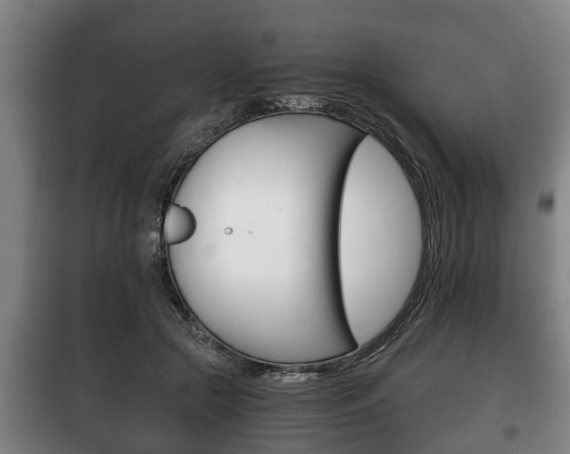 X0000100410553200806060927