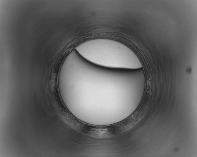 X0000100410554200806060927