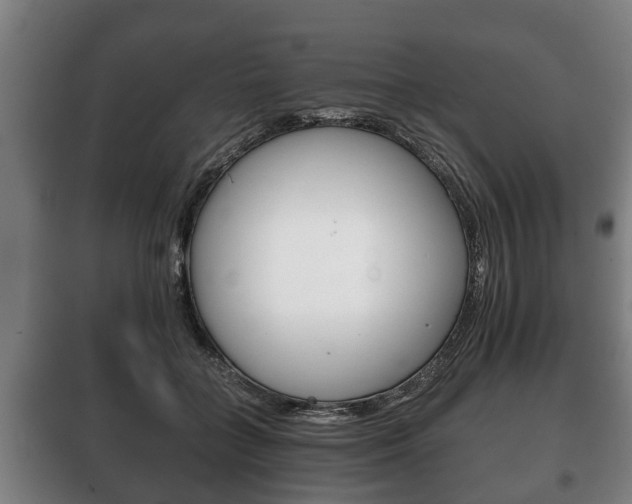 X0000100410555200806060927