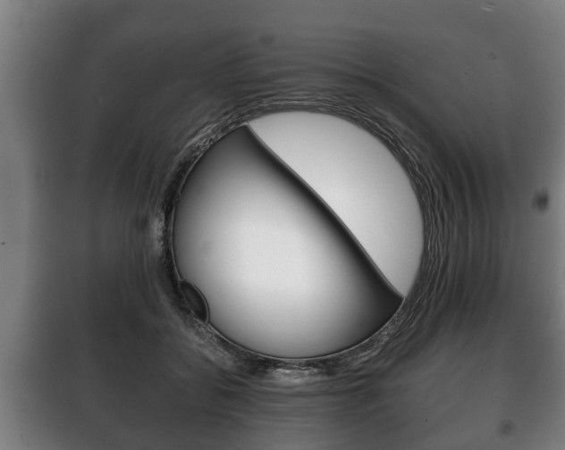X0000100410556200806060928