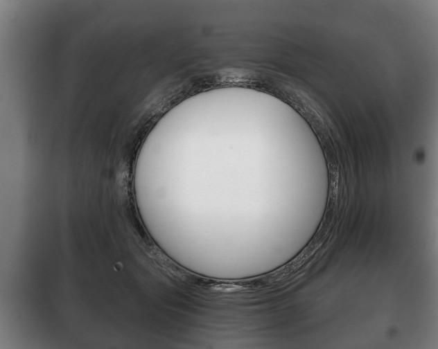 X0000100410557200806060928