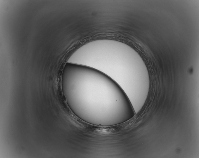 X0000100410558200806060928