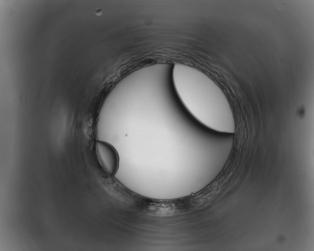 X0000100410559200806060928