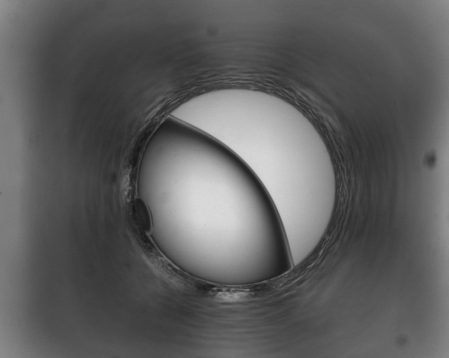 X0000100410560200806060928