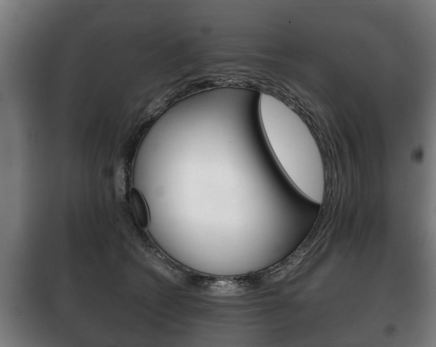 X0000100410562200806060928