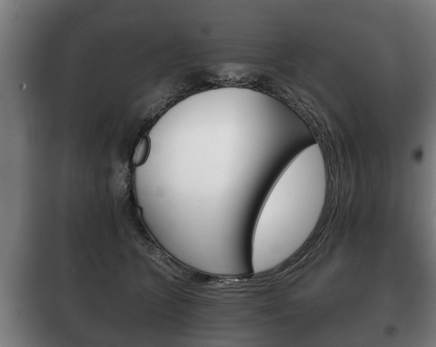X0000100410563200806060928